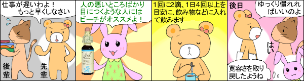 ビーチ の使用例