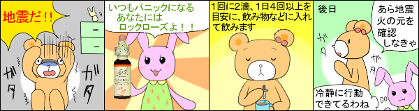 ロックローズ の使用例