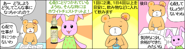 ホワイトチェストナット の使用例