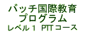 �o�b�`���ۋ���v���O���� ���x���P PTT�R�[�X