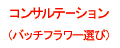 �R���T���e�[�V�����i�o�b�`�t�����[�I�сj
