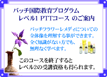 �o�b�`���ۋ���v���O�����@���x���P�@�o�s�s�R�[�X�̂��ē�