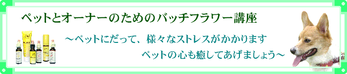 �y�b�g�ƃI�[�i�[�i������j�̂��߂̃o�b�`�t�����[�����f�B�u���̂��ē�