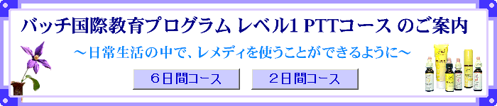 �o�b�`���ۋ���v���O�����@���x���P�@�o�s�s�R�[�X�̂��ē�