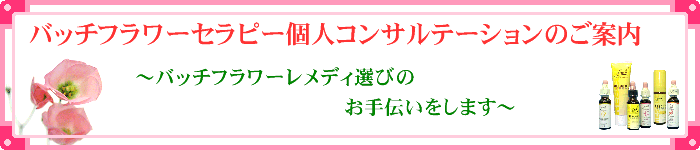 �o�b�`�t�����[�Z���s�[�l�R���T���e�[�V�����̂��ē�