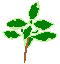 �����f�B�̔���l�Z�b�V�������s���Ă��܂��BPass-Thyme�i�p�X�^�C���j