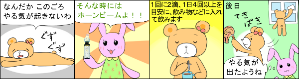 �z�[���r�[���̎g�p��