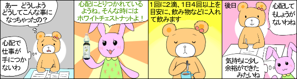 �z���C�g�`�F�X�g�i�b�g�̎g�p��