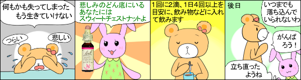 スウィートチェストナット の使用例