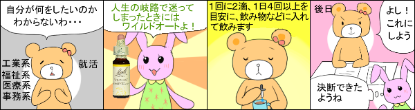 ワイルドオート の使用例