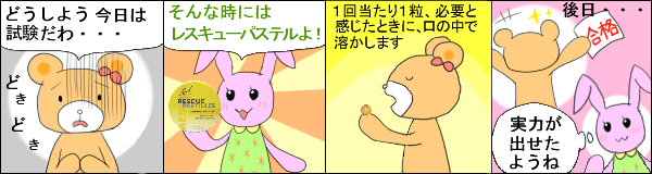 ���X�L���[�p�X�e�� �̎g�p��