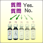 3���f�f�i����ɓ����đI�ԁj