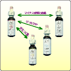 �i�W�j�o�b�`�t�����[���r���đI��