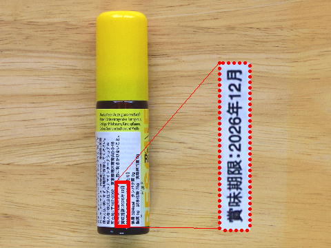 ���X�L���[�X�v���[