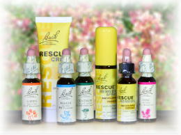 �����o�b�`�t�����[�����f�B