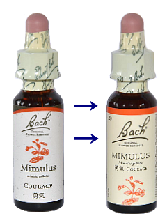 �V�����x����r�F�~�����X