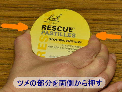 �c���̕����𗼑����牟��