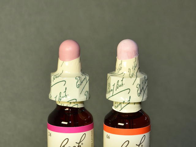 �X�|�C�g�̐F��r